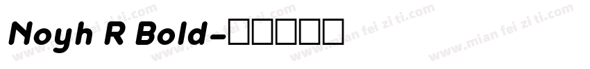 Noyh R Bold字体转换